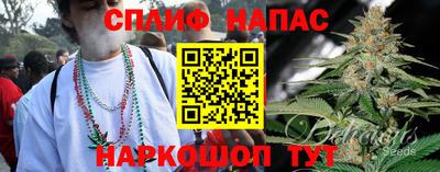 индика Коммунар