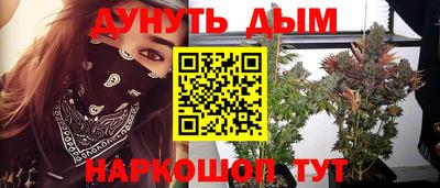индика Коммунар